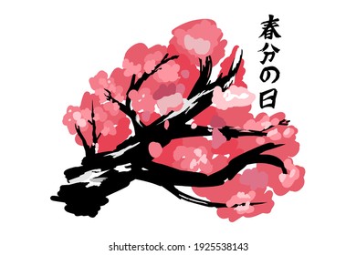 Translation: Vernal Equinox Day. Happy Vernal Equinox Day (Shunbun no Hi) vector illustration. 