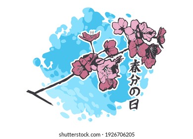 Translation: Vernal Equinox Day. Happy Vernal Equinox Day (Shunbun no Hi) vector illustration. 