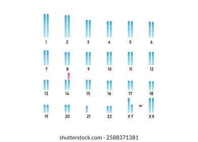 Translocation Down Syndrome Science Design. Vector Illustration.
