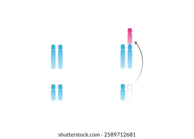 Translocation Down Syndrome Science Design. Vector Illustration.