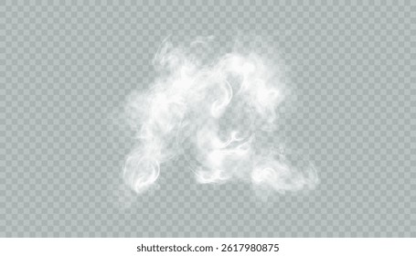 A translucent cloud of realistic white smoke with soft texture and blurred edges on a transparent background.