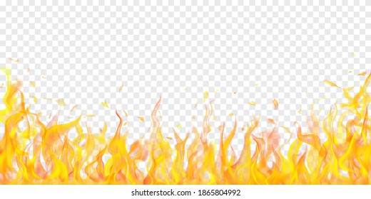 Translucent fire flames and sparks on transparent background. For used on light illustrations. Transparency only in vector format