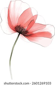 A translucent flower painted in watercolor vector illustrations isolated on a white background.
