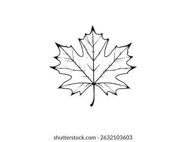 Desenho vetor de folha de bordo translúcido, veias intrincadas, design elegante, natureza, outono, símbolo do Canadá, preto e branco