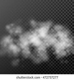 Translucent smoke cloud on transparent background. Vector hot air steam dispersion effect