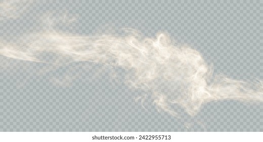 Translucent smoke isolated on a transparent background. Steam effect special effect. Vector texture of steam, fog, cloud, smoke.	