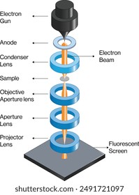 Transmission Electron Microscopy (TEM) Instrumentation and Principle Diagram, White Background, Science Vector Illustration