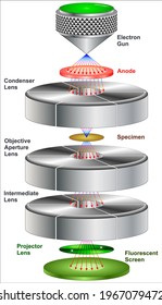 Transmission electron microscopy (TEM) is a microscopy technique in which a beam of electrons is transmitted through a specimen to form an image