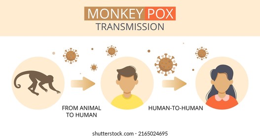 Transmission of monkeypox. Infection with monkeypox. Monkeypox concept shows the spread of monkeypox virus from monkeys to humans. Awareness of virus. Virus epidemic outbreak. Vector Illustration