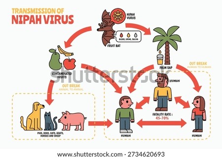 Transmission of Nipah Virus Chart