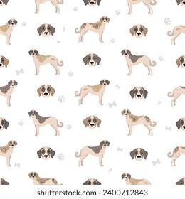 Transmontano Mastiff seamless pattern. All coat colors set.  All dog breeds characteristics infographic. Vector illustration