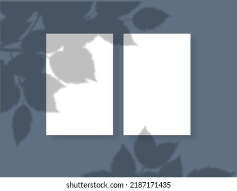 Transparen shadow overlay effect for branding.long shadow on flat surface.soft light from the window on the wall.background for you design.vector eps.10