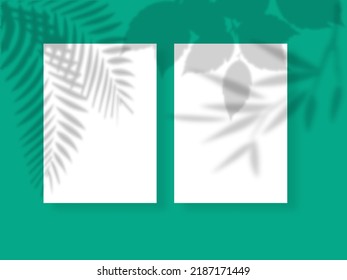 Transparen shadow overlay effect for branding.long shadow on flat surface.soft light from the window on the wall.background for you design.vector eps.10