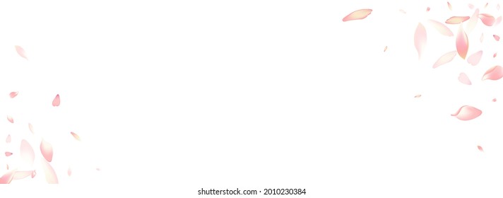 Fondo Panorámico Transparente del Vector Petal de Apple. Marco peptal rosado de las flores de Japón. Patrón 3d de Sakura Petal. Funda de Petal rosa brillante.