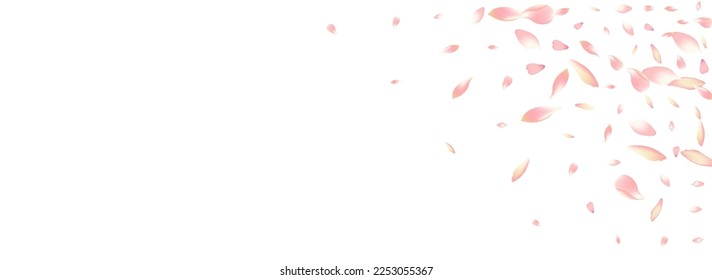 Transparent Apple Petal Vector Panoramic Background. Pastel Spring Lotus Petal Card. Sakura Petal Spa Texture. Fall Rose Petal Cover.