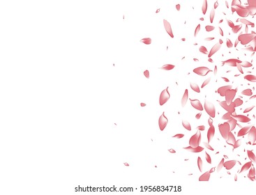 Transparent Apple Petal Vector White Background. Pastel Floor Peach Petal Pattern. Lotus Petal Fall Congratulation. Flying Cherry Petal Backdrop.