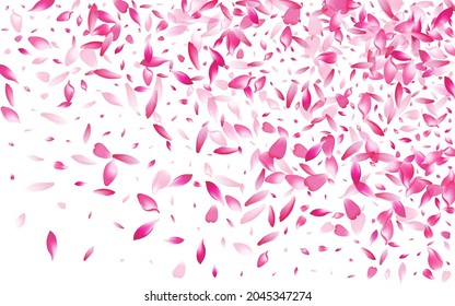 Transparent Apple Petal Vector White Background. Pink Bright Lotus Petal Template. Rose Petal Beauty Poster. Modern Flower Petal Pattern.