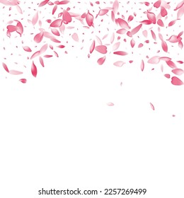 Transparent Apple Petal Vector White Background. Color Japanese Rose Petal Illustration. Flower Petal Beauty Product. Spa Peach Petal Texture.
