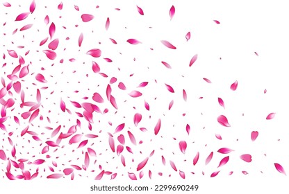 Transparent Apple Petal Vector White Background. Pink Soft Lotus Petal Illustration. Cherry Petal Dream Backdrop. Realistic Peach Petal Frame.