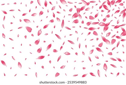 Transparent Apple Petal Vector White Background. Pink Floor Peach Petal Pattern. Flower Petal Fresh Backdrop. Spring Lotus Petal Cover.