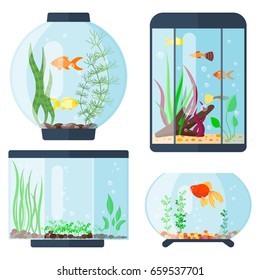 Transparent Aquarium Vector Illustration Habitat Water Tank House Underwater Fish Tank Bowl.