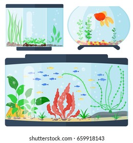 Transparent aquarium vector illustration habitat water tank house underwater fish tank bowl.