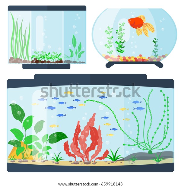 83 Aquarium Habitat Design Gratis Terbaru