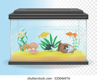 transparent aquarium vector illustration isolated on white background