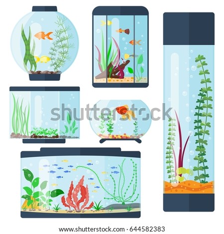 Transparent aquarium vector illustration isolated on white fish habitat aquarian house underwater tank bowl