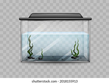 Transparent aquarium with water and algae isolated template. Rectangular container with black backlight lid and green underwater plants water world at home and vector office.