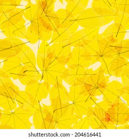 Transparent Autumn Leaves, seamless pattern. plus EPS10 vector file