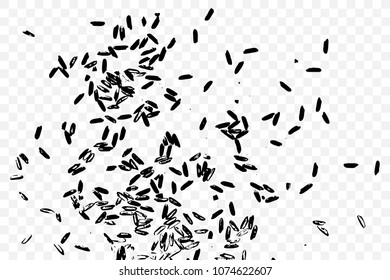 Transparent background with grain of rice. Handmade illustration of rice organic texture background. Vector.