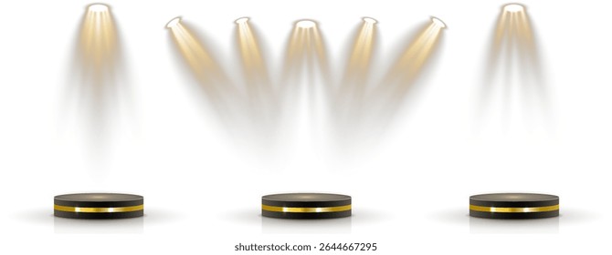 Fundo transparente mantém a base do pódio 3D em camadas. A grade de holofote brilha a partir da montagem oculta no teto. A iluminação suave simula a zona de iluminação de estilo de teatro. Reflexões criar estúdio elegante