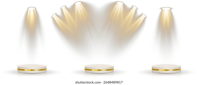 Fundo transparente mantém a base do pódio 3D em camadas. A grade de holofote brilha a partir da montagem oculta no teto. A iluminação suave simula a zona de iluminação de estilo de teatro. Reflexões criar estúdio elegante