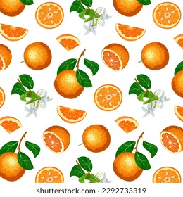 Transparent background with oranges.Vector seamless pattern with whole and cut oranges on a transparent background.