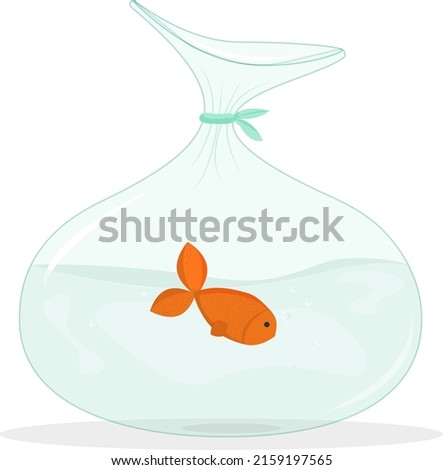 
A transparent bag with a purchased small goldfish from a pet store