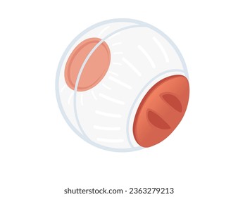 Transparent ball for hamster vector illustration isolated on white background