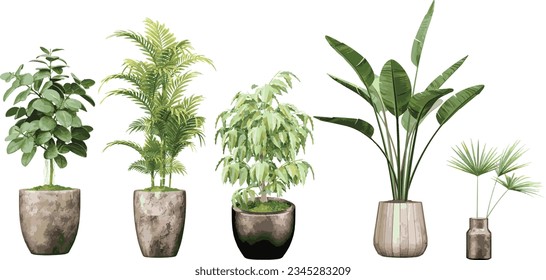 Transparent Beauty; Gorgeous Cut-Out Plant Images for illustration, digital composition and architecture visualization