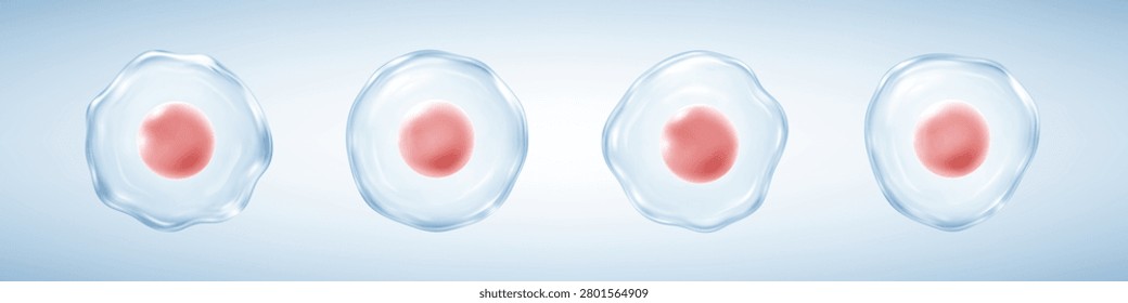 Transparent biological cells. Microscopic cell collection. Scientific medical concept. Vector illustration
