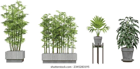 Transparent Botanical Beauty; High-Quality Cut-Out Plant Images