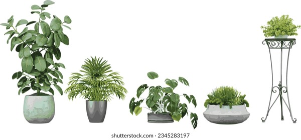 Transparent Botanical, Stunning Cut-Out Plant Images, 3D rendering, for illustration, digital composition and architecture visualization