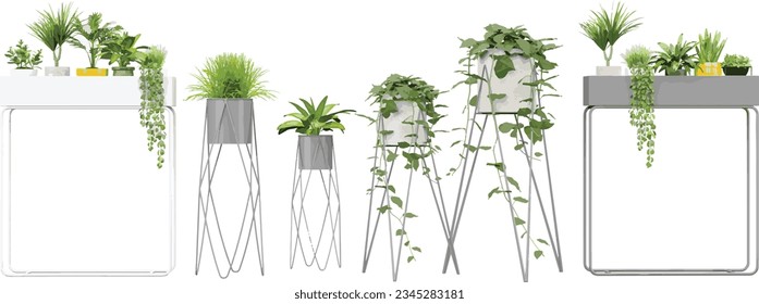 Transparent Botany; High-Quality Plant Cut-Outs, 3D rendering, for illustration, digital composition and architecture visualization