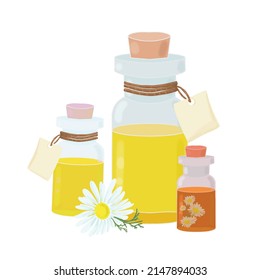 transparent bottles with essential oil and chamomile flowers, cosmetic oil, aromatherapy, tincture, medicine, pharmacy, vector