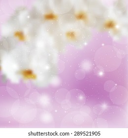 Transparent branch white orchids on a lilac background.