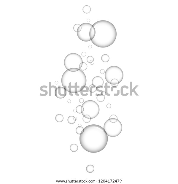 Transparent bubbles icon. Realistic\
illustration of transparent bubbles vector icon for web\
design
