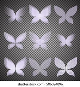   transparent butterfly wings  set, vector