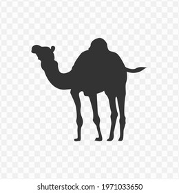 Transparent camel icon png, vector illustration of an camel icon in dark color and transparent background(png)