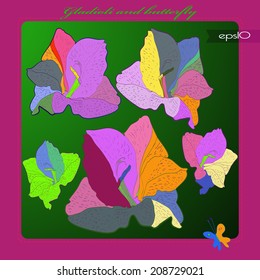Transparent card with fantastic colored gladioli on a gradient rounded rectangle, green text,butterfly on a pink frame. Handmade.