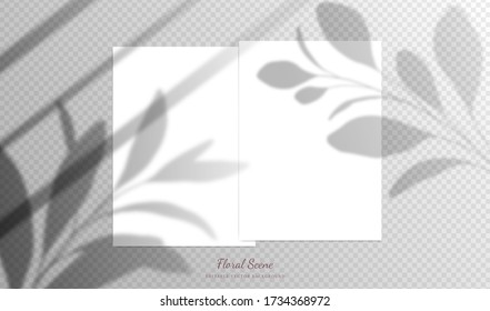 Transparent card mockup with floral & window overlay shadows. Editable empty stationery card vector scene with flowers background