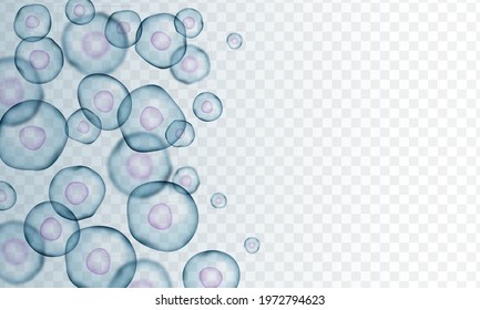 Transparent Cell Stem Background Template. Biology Research Dna Nucleus Cells Vector Pattern.